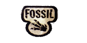 Fosil